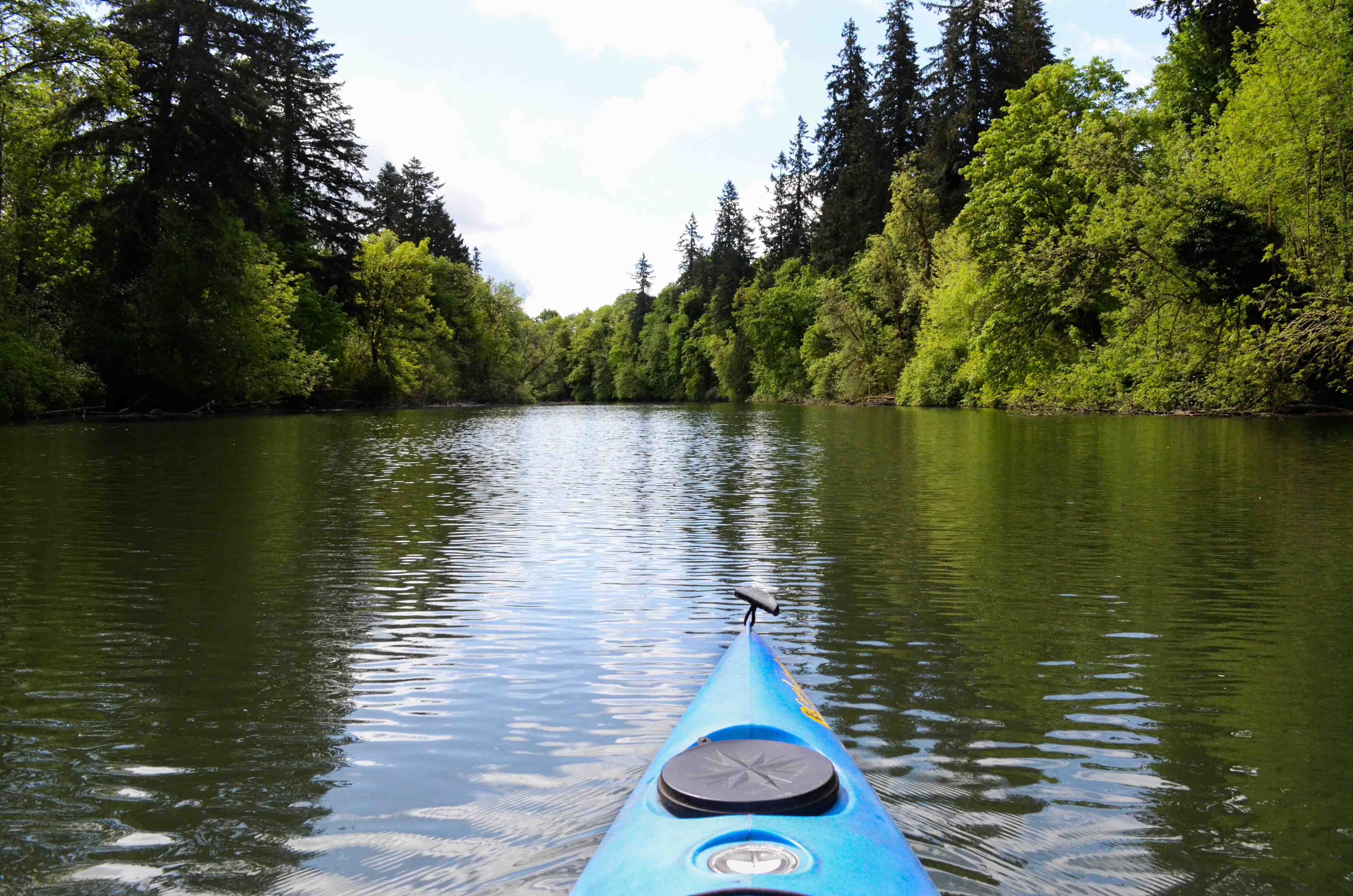 Kickoff With Tualatin Riverkeepers and Willamette Riverkeeper