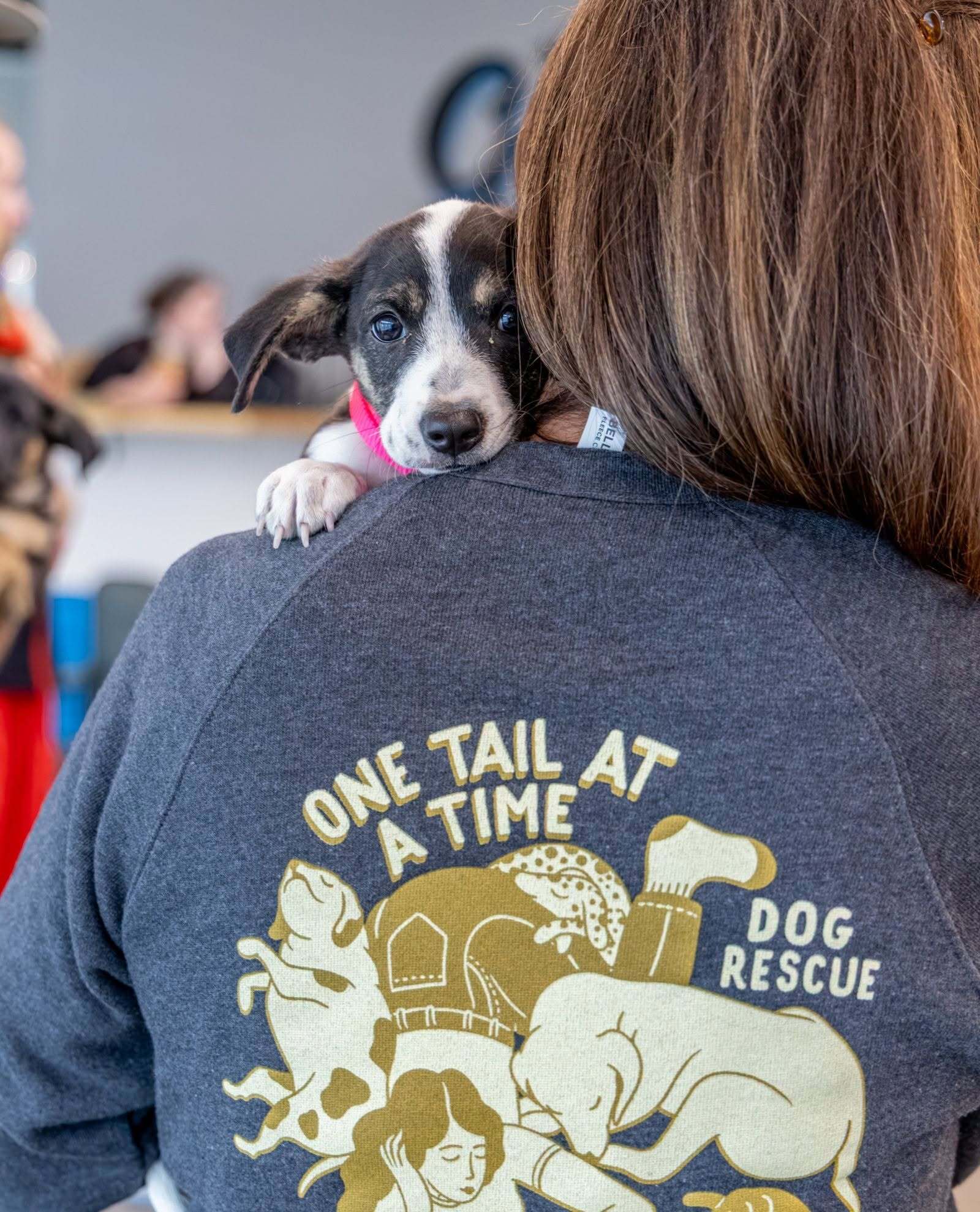One Tail at a Time PDX