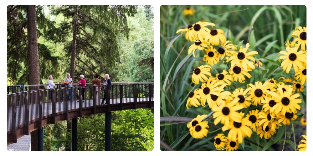 Leach Botanical Garden