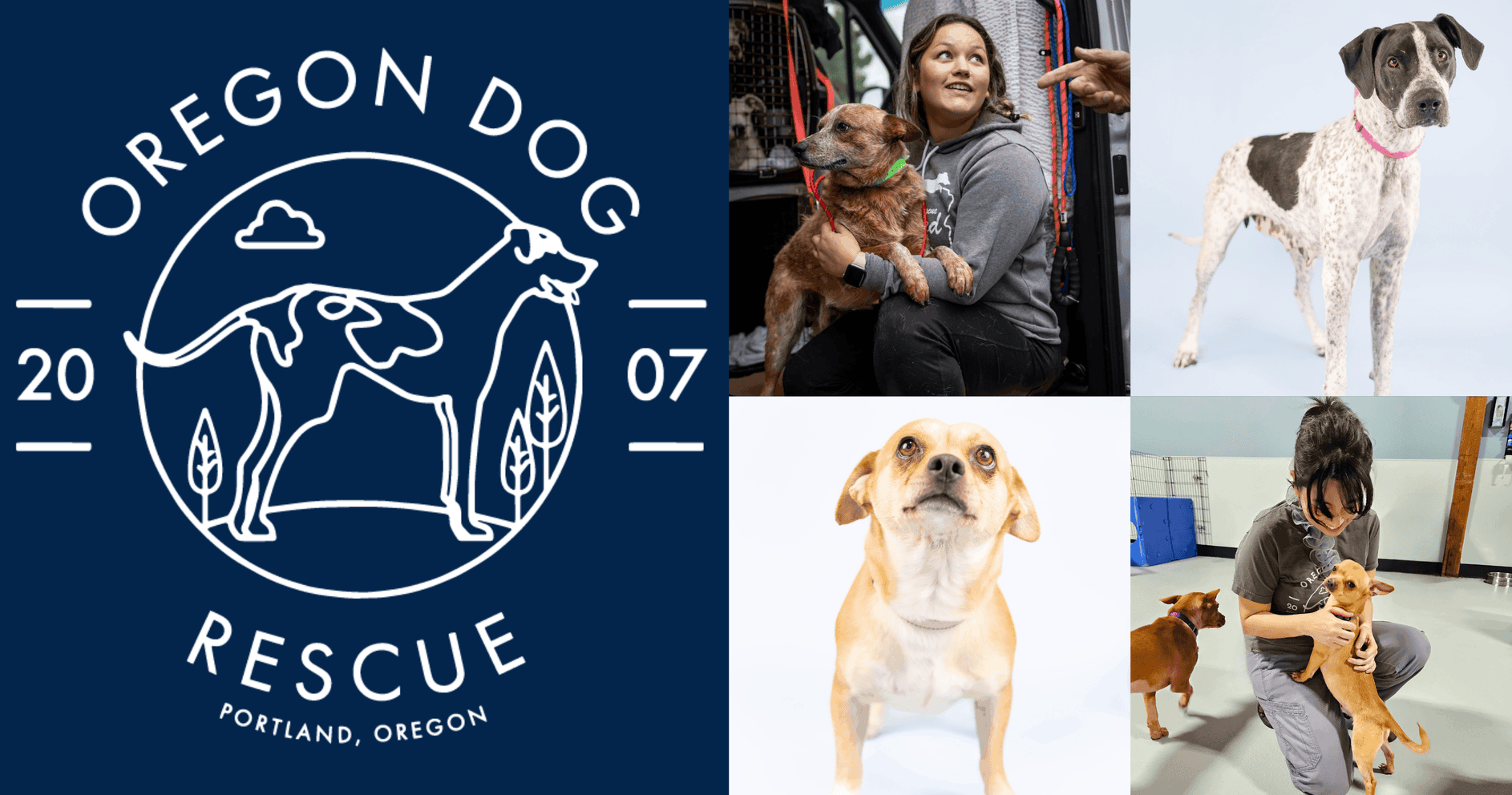 Oregon Dog Rescue