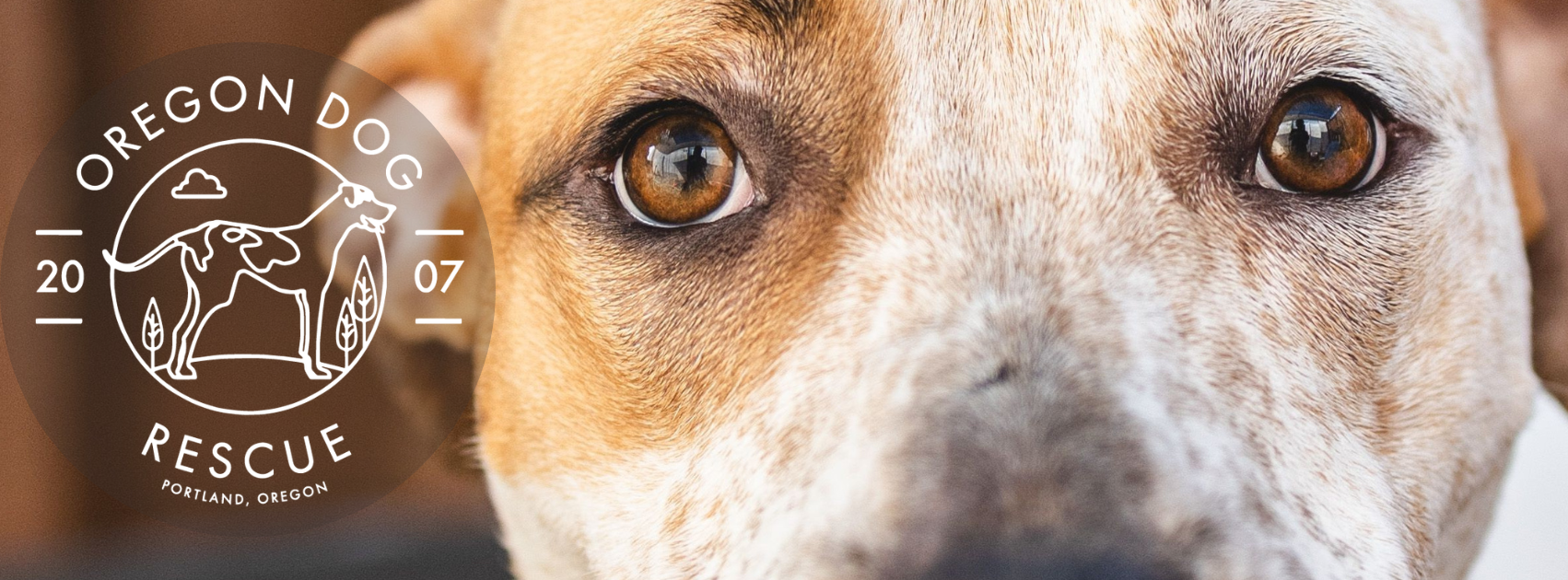 Oregon Dog Rescue