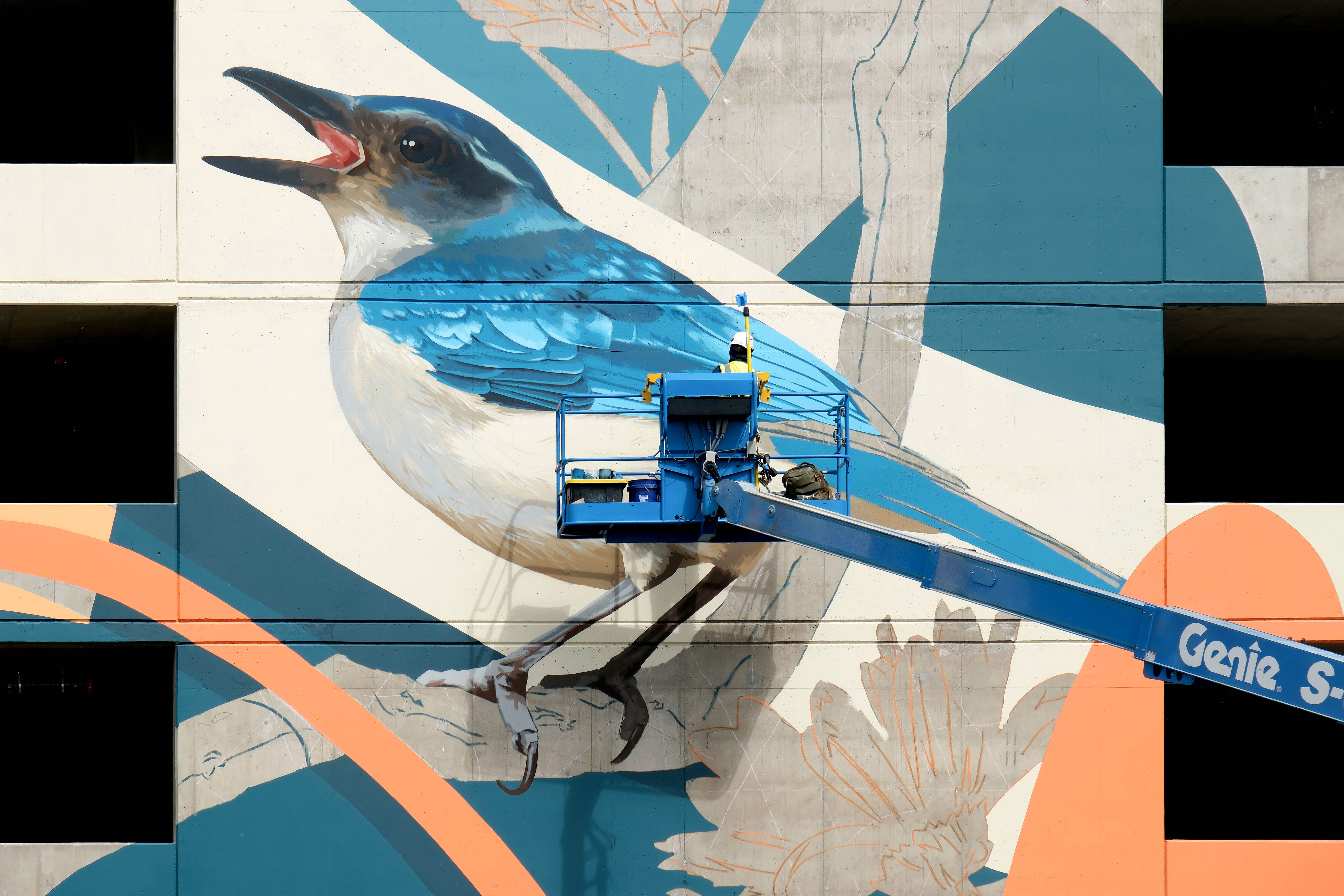 Portland Street Art Alliance