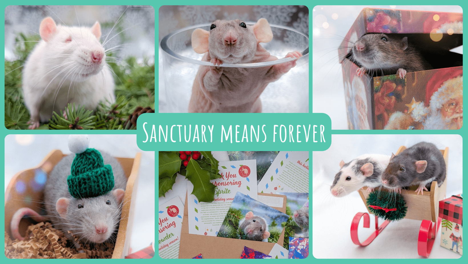 Rat Way Sanctuary