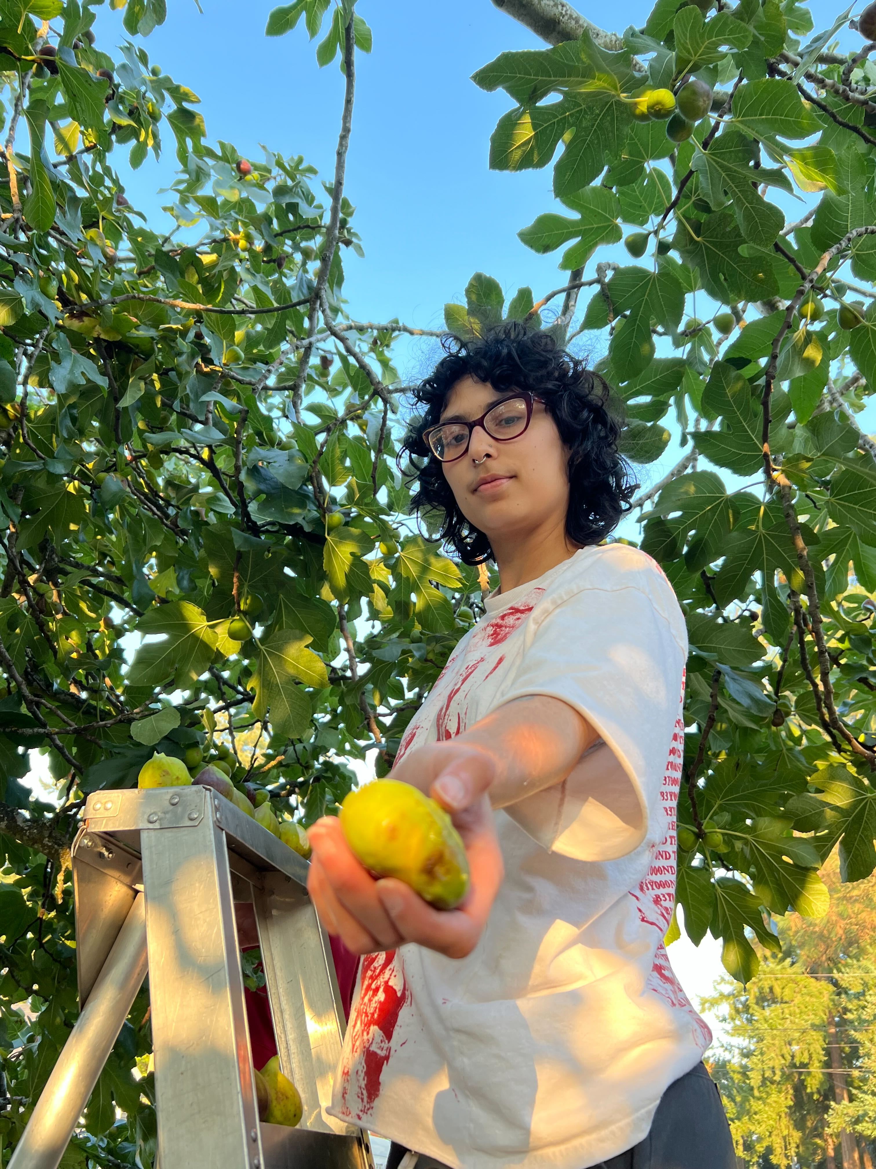Portland Fruit Tree Project