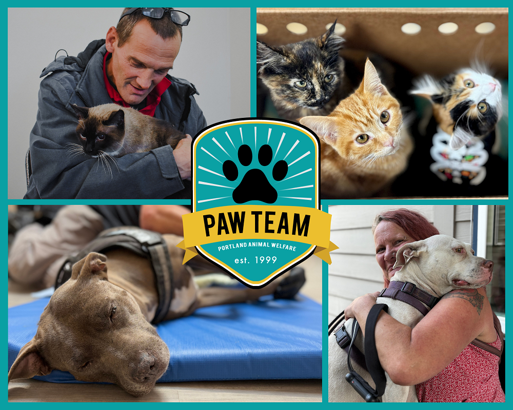 Portland Animal Welfare (PAW) Team