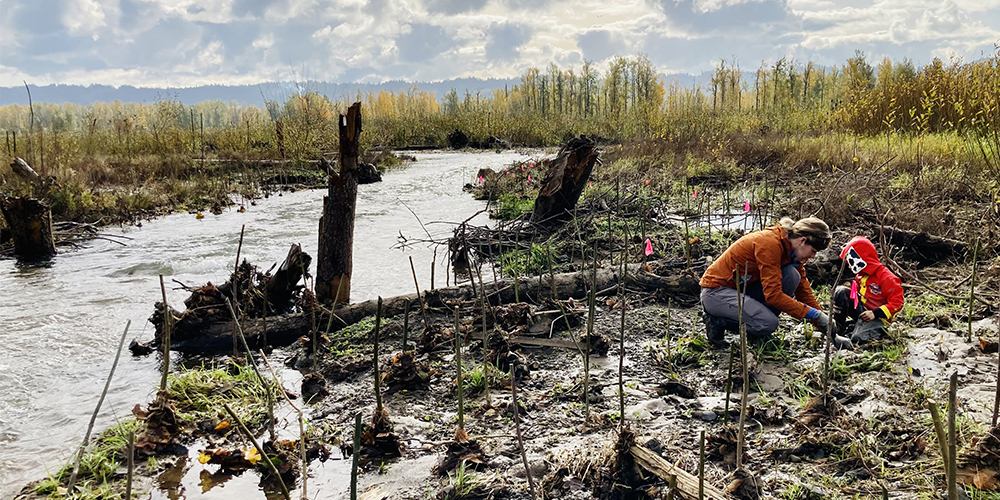 Lower Columbia Estuary Partnership