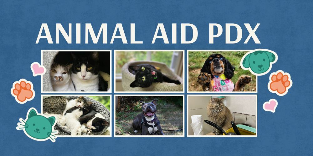 Animal Aid