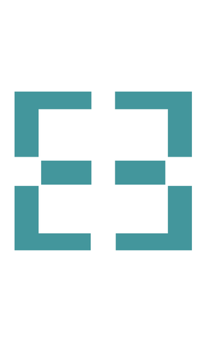 ELSO, Inc.
