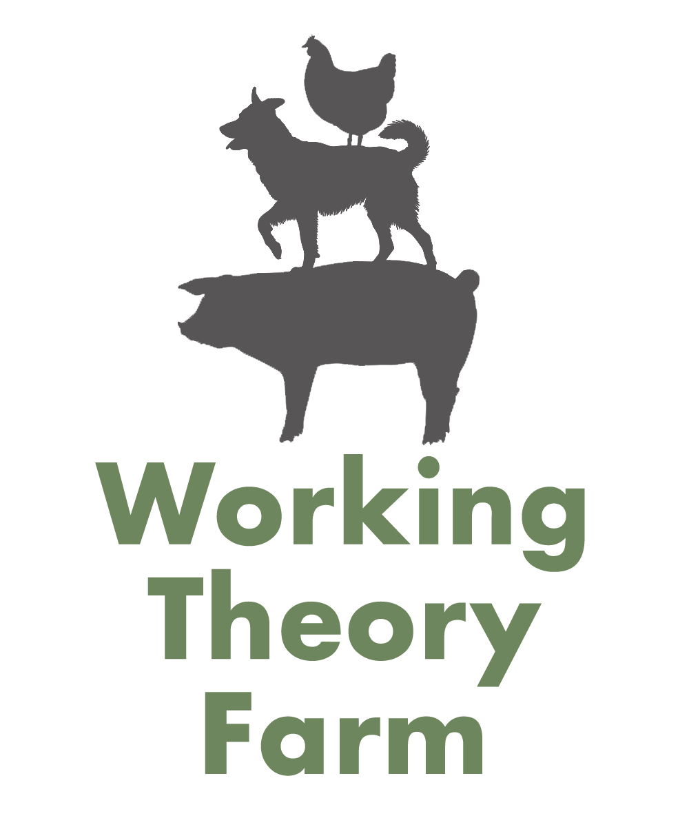 Working Theory Farm